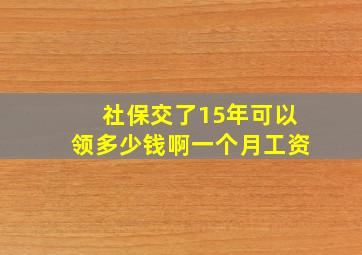 社保交了15年可以领多少钱啊一个月工资