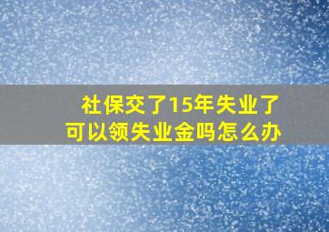 社保交了15年失业了可以领失业金吗怎么办