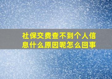 社保交费查不到个人信息什么原因呢怎么回事