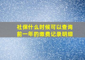 社保什么时候可以查询前一年的缴费记录明细