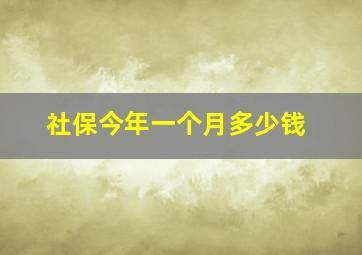 社保今年一个月多少钱