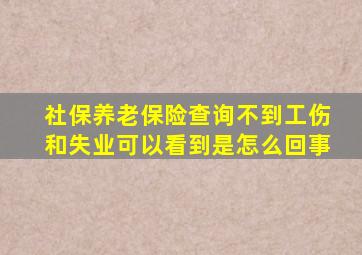 社保养老保险查询不到工伤和失业可以看到是怎么回事