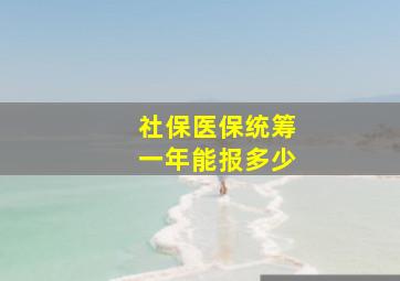 社保医保统筹一年能报多少