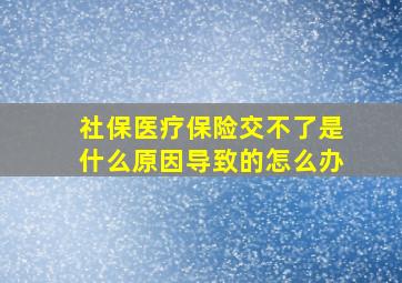 社保医疗保险交不了是什么原因导致的怎么办