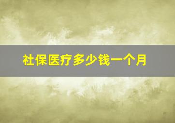 社保医疗多少钱一个月