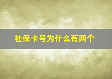 社保卡号为什么有两个