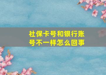 社保卡号和银行账号不一样怎么回事