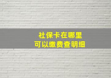 社保卡在哪里可以缴费查明细