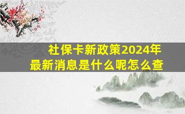 社保卡新政策2024年最新消息是什么呢怎么查