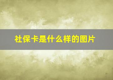 社保卡是什么样的图片