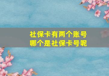 社保卡有两个账号哪个是社保卡号呢