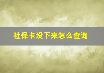 社保卡没下来怎么查询