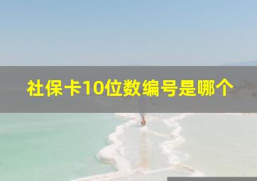 社保卡10位数编号是哪个