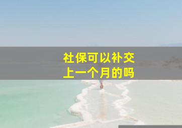 社保可以补交上一个月的吗