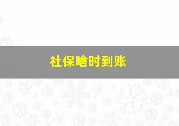 社保啥时到账