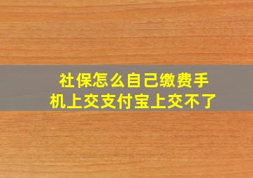 社保怎么自己缴费手机上交支付宝上交不了