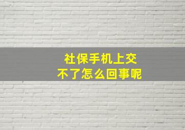 社保手机上交不了怎么回事呢