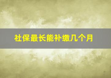 社保最长能补缴几个月