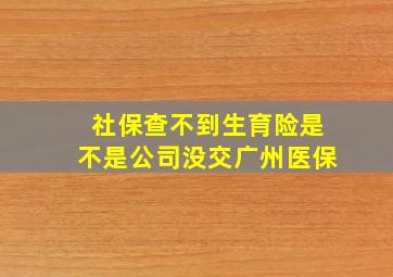 社保查不到生育险是不是公司没交广州医保