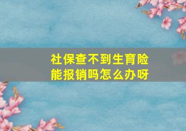 社保查不到生育险能报销吗怎么办呀