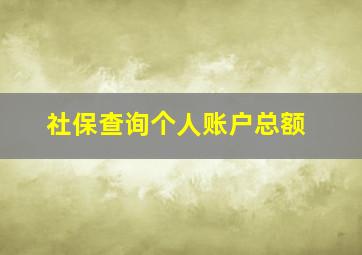 社保查询个人账户总额