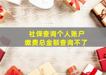 社保查询个人账户缴费总金额查询不了