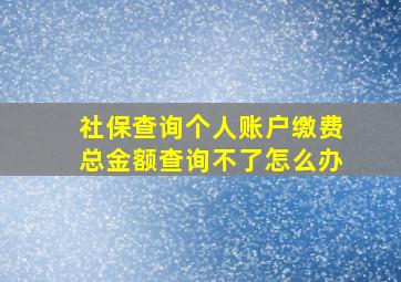 社保查询个人账户缴费总金额查询不了怎么办