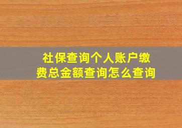 社保查询个人账户缴费总金额查询怎么查询