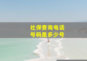 社保查询电话号码是多少号