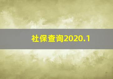 社保查询2020.1