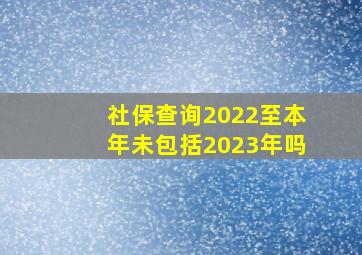 社保查询2022至本年未包括2023年吗