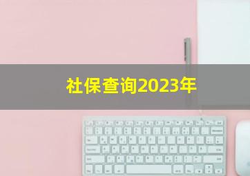 社保查询2023年