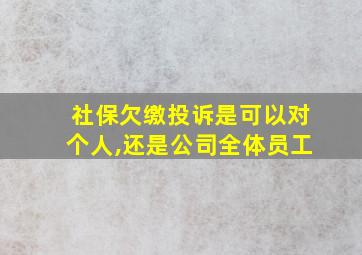 社保欠缴投诉是可以对个人,还是公司全体员工