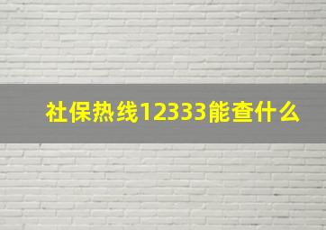 社保热线12333能查什么