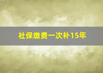 社保缴费一次补15年