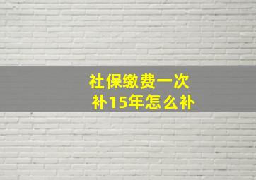 社保缴费一次补15年怎么补