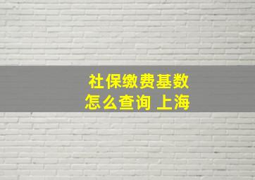 社保缴费基数怎么查询 上海