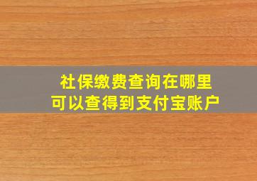 社保缴费查询在哪里可以查得到支付宝账户