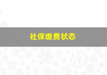 社保缴费状态