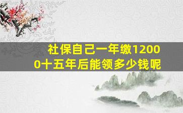 社保自己一年缴12000十五年后能领多少钱呢