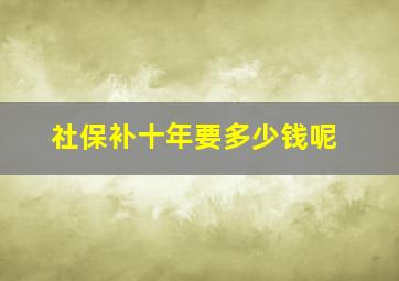 社保补十年要多少钱呢