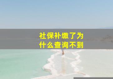 社保补缴了为什么查询不到