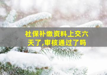 社保补缴资料上交六天了,审核通过了吗