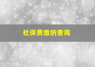 社保费缴纳查询