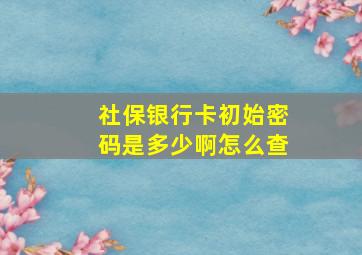 社保银行卡初始密码是多少啊怎么查