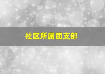 社区所属团支部