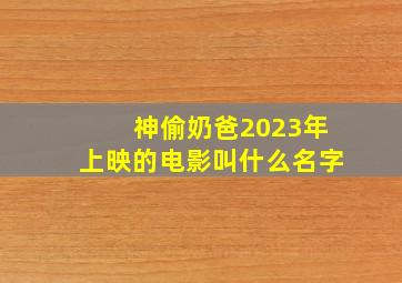 神偷奶爸2023年上映的电影叫什么名字