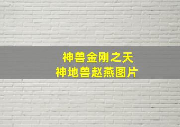 神兽金刚之天神地兽赵燕图片