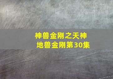 神兽金刚之天神地兽金刚第30集