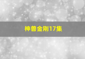 神兽金刚17集